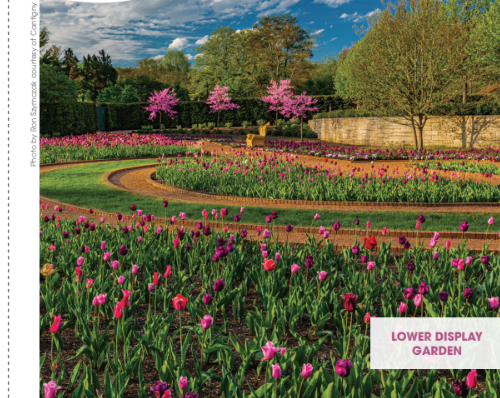 Cantigny garden